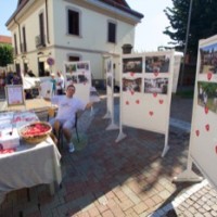 how to set up a gallery exhibition photo exhibit